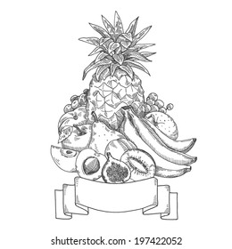 Set of fruits, vector hand drawing