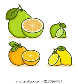 Set of fruits vector illustration. Collection of pomelo, orange, lemon and lime. Cartoon citrus with leaf and a half slice, outline color icon of tropical fruit. Group of objects