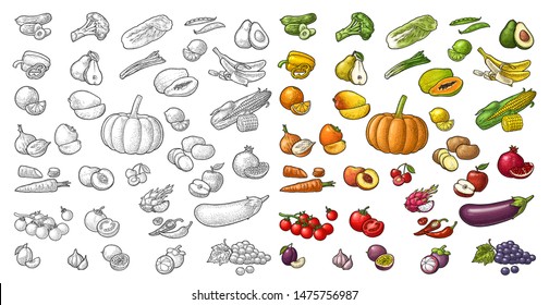 Set fruits and vegetable. Mango, lime, banana, avocado, lemon, peach, citrus, apple, pear, grape, cherry, potato, corn, pepper, potato, tomato, garlic. Vector color vintage isolated engraving
