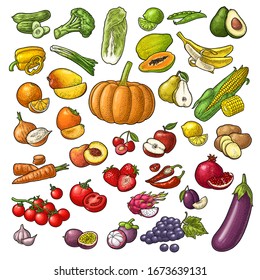 Set fruits and vegetable. Mango, lime, banana, avocado, lemon, peach, citrus, apple, pear, grape, cherry, potato, corn, pepper, potato, tomato, garlic. Vector color vintage isolated engraving