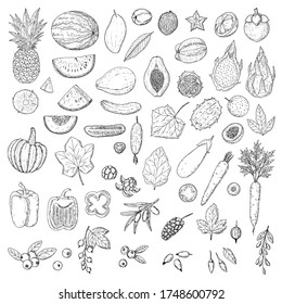Set of fruits, vegetables and berries. Isolated objects on white. Vector cartoon illustrations. Hand-drawn style.