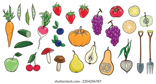 Set of fruits, vegetables, berries and mushrooms. Healthy food vector illustration.