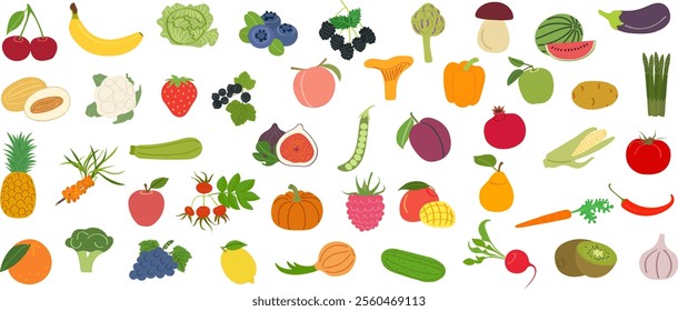 Set of fruits, vegetables and berries with vitamin C - flat vector illustration. Cartoon template for children's educational coloring books and packaging for juices and diet food.