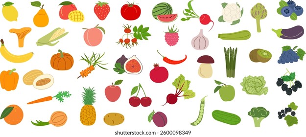 Set of fruits, vegetables and berries with vitamin C - flat vector illustration. Cartoon template for children's educational coloring books and packaging for juices and diet food.
