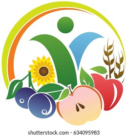 set of fruits and vegetables cooking. Meals for vegetarians and vegans. healthy food
