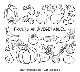 Conjunto de doodles de frutas y verduras, ilustraciones de íconos dibujados a mano sobre fondo blanco. Banner estilo de arte de la línea de dibujo tradicional. Ilustración aislada del vector.