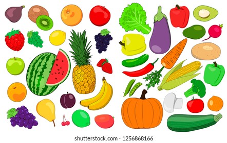 Set of fruits and vegetables - Vector
