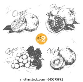 Set of fruits in a vintage style: orange, pomegranate, grapes, kiwi. See also other sets of fruits and berries.