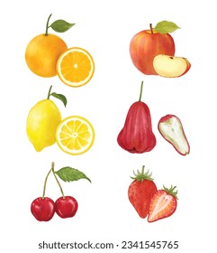 Set of fruits watercolor vector illustration