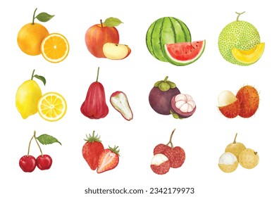 Conjunto de ilustraciones vectoriales de acuarela de frutos