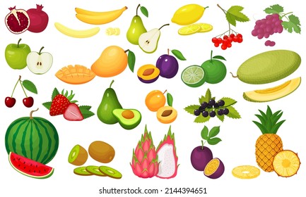 Eine Reihe von Früchten.Farbige Cartoons von reifen und saftigen Früchten einzeln auf weißem Hintergrund.Watermelon, Avocado, Kirsche, Limette, Petaya, Birne, Apfel, Pflaumen, Aprikosen, Trauben, Mango, Banane und Melonen.