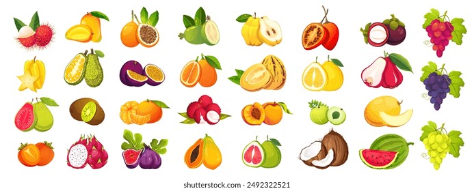 Set of fruits.Tropical fruit papaya,passion fruit,mango,jackfruit,grapes.Vector illustration.