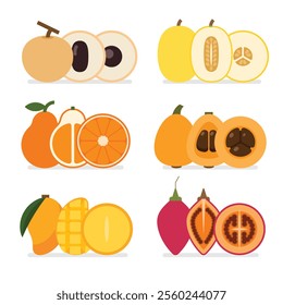 A set of full fresh tropical fruits, Slice of Canary melon, Tangelo, Longan, Loquat, Mango, Tamarillo, simple flat vector illustration.