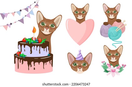 Un conjunto de gatos abisinos graciosos con un fondo blanco. Diseño de caricaturas. Mascotas.

