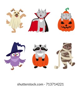 Set of funny animal characters dressed in Halloween costumes, flat cartoon vector illustration isolated on white background. Set of animal characters in ghost, witch, mummy, vampire Halloween outfit