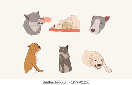 Set of funny animal characters. Isolated Cute animal print. Drawn fun poses. Hand-drawn funny wild and domestic animals. Vector illustration