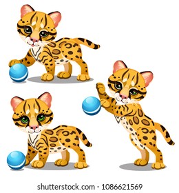 Set of funny animated leopard cubs playing with balls isolated on white background. Vector cartoon close-up illustration.