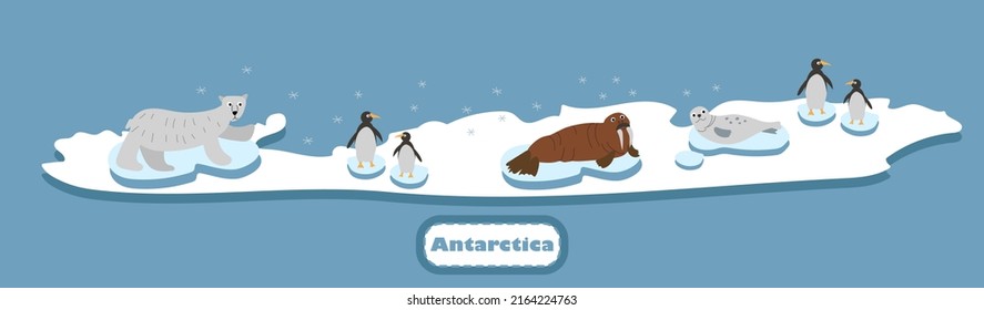 Set of funny Antarctic wild animals, marine mammals on ice blue background. Polar bear, penguin, walrus, seal. Colourful vector illustration in flat style.