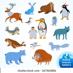 Set funny Arctic and Antarctic animals. Penguin, polar bear, seal, walrus, arctic fox, musk-ox, hare, reindeer, wolf, snowy owl, albatross, arctic tern. Funny cartoon character. Vector illustration