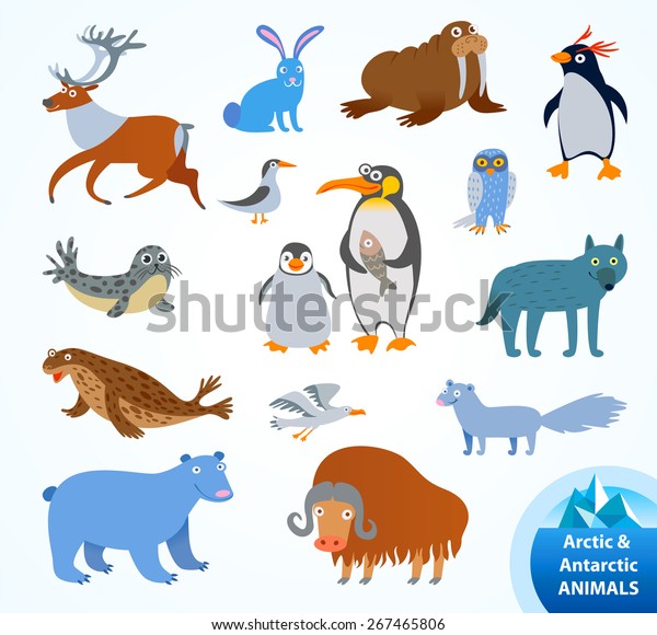 Arctic animals cartoon Images - Search Images on Everypixel