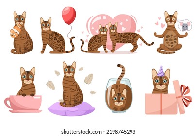 A set of funny Bengal cats on a white background. Cartoon design.
