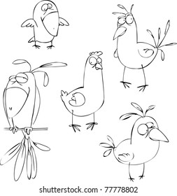 Set of funny  birdies