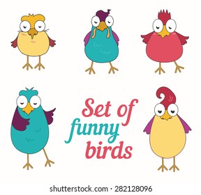 Set of funny birds. Vector cartoon illustration.