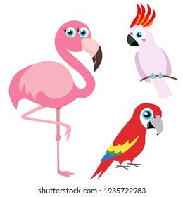 Set of funny birds, vector illustration