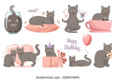 A set of funny British cats on a white background. Cartoon design.
