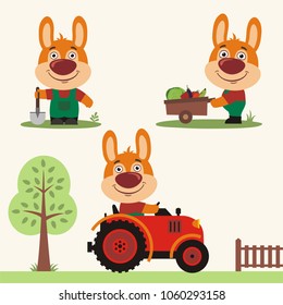 Set of funny bunny rabbit farmer is working on farm: with shovel, with wheelbarrow vegetables, in tractor.