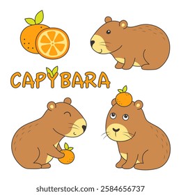 Set of funny capybaras vector illustration. Flat animal vector.