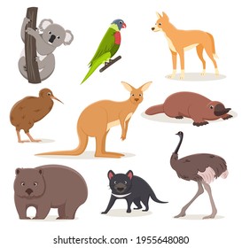 Set of funny cartoon Australian animals - emu, ostrich, koala on a branch, tasmanian devil, dingo dog, platypus, kiwi bird and wombat