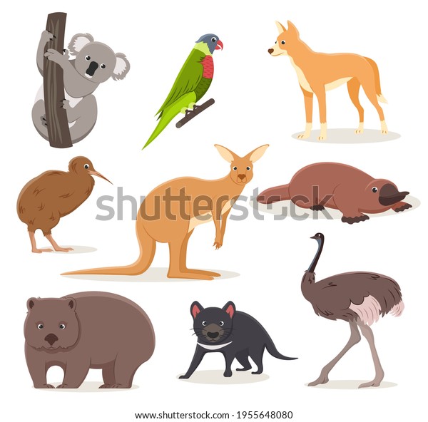 Set Funny Cartoon Australian Animals Emu Stock Vector (Royalty Free ...