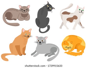 Set of funny cartoon cats in different poses. Domestic cats sleeping and walking, sitting and playing, happy kitten vector icons on white background. Vector illustration character design.