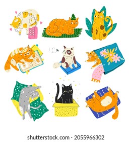 Conjunto de gatos de dibujos animados divertidos en diferentes poses. A los gatos les gusta jugar, leer, sentarse en la caja. Colección moderna de mascotas de estilo plano