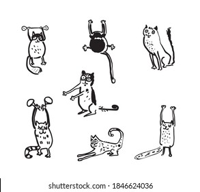 Set of funny cartoon cats. Vector illustration.