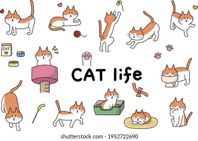 Set of funny cartoon cute cats. Vector illustration isolated on white background.