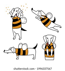 A set of funny cartoon dogs. Cute dachshund in a bee costume with wings. Dog mascot for business, company. Character for stickers, logos, labels, emblems, signs. Collection of cliparts for vet clinic