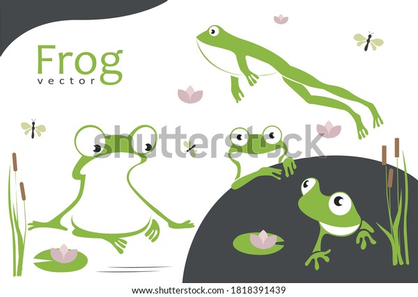 \
Set of funny cartoon green\
frogs. Drawing of amphibians.Vector set of animal characters\
consisting of toads, water lilies, flies, reeds. Colorful graphic\
elements.