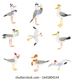 Set of funny cartoon gulls in scarves and hats. Seagull or cormorant as a boatswain or captain.