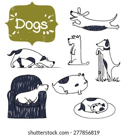 Set of funny cartoon hand drawn dogs, isolated on white background. Sketches of cute Scottish terrier, Dachshund and Bulldog in different poses.
