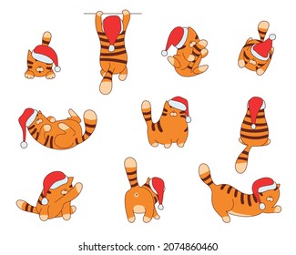 Conjunto de graciosas ilustraciones vectoriales de tigres de dibujos animados. Feliz símbolo animal de Año Nuevo chino.