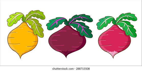 set of funny cartoon vegetables  isolated on white background