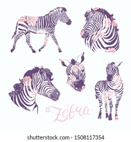 Set of funny cartoon zebras on white background.