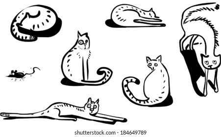 Set of funny cats