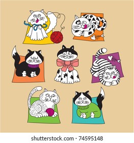 set funny cats