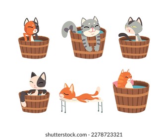 Set of funny cats characters taking japanese hot spring onsen bath and enjoying spa procedures cartoon vector illustration