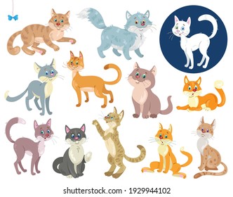 Set of funny cats in different colors and  in various poses. In cartoon style. Isolated on white background. Vector flat illustration.