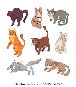 Set of funny cats in different position. Hand made drawing isolated illustration set