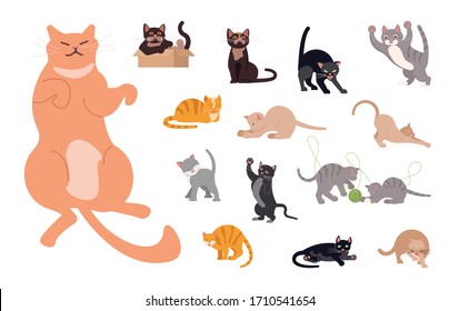 Set of funny cats in flat design. Variety breeds cats in different poses sitting, standing, stretching, playing, lying. Flat Art Vector Illustration